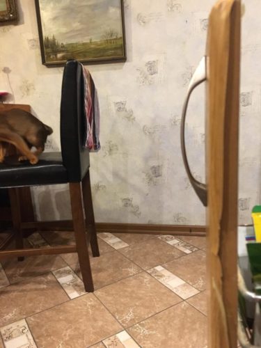 Замена пленки на кухонных фасадах